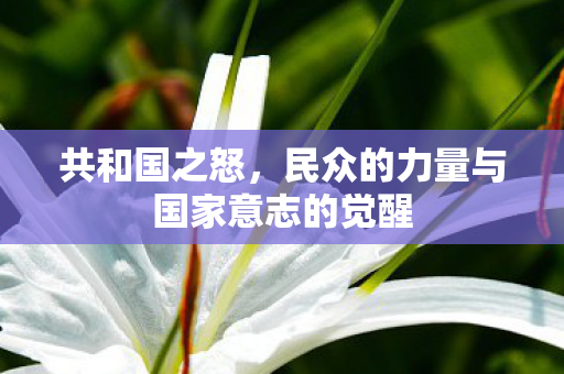 民众的力量与国家意志的觉醒图片