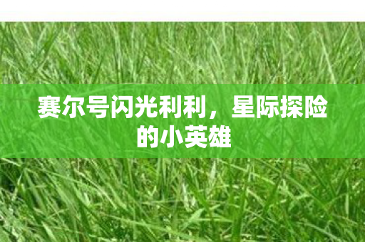 星际探险的小英雄图片