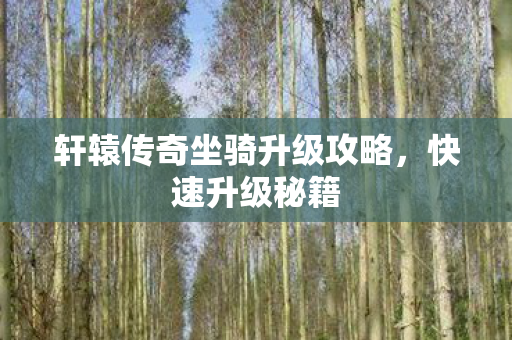 轩辕传奇坐骑升级攻略图片