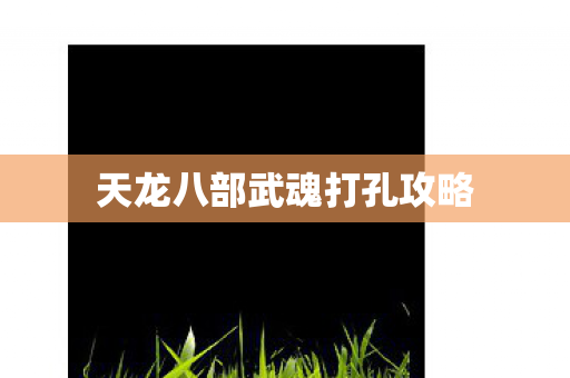 天龙八部武魂打孔攻略图片