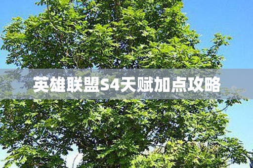 英雄联盟S4天赋加点攻略图片