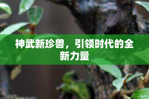 引领时代的全新力量图片