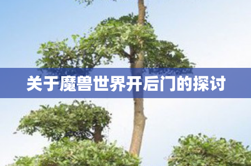 关于魔兽世界开后门的探讨图片