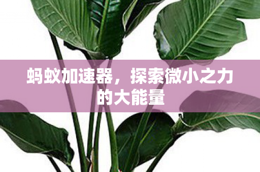 探索微小之力的大能量图片