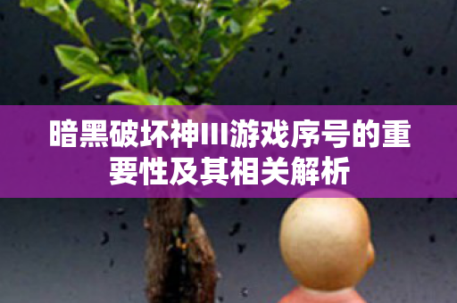 暗黑破坏神III游戏序号的重要性及其相关解析 暗黑破坏神III游戏序号的重要性及其相关解析