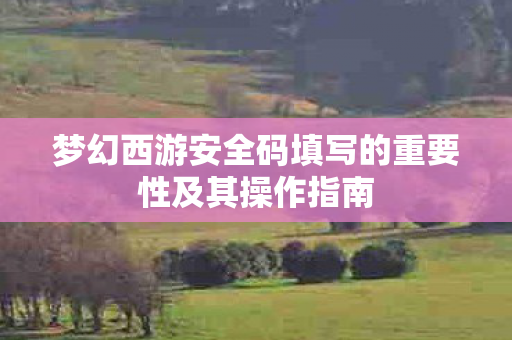 梦幻西游安全码填写的重要性及其操作指南 梦幻西游安全码填写的重要性及其操作指南