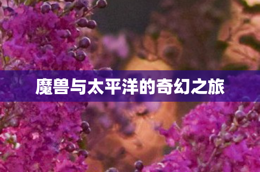 魔兽与太平洋的奇幻之旅图片