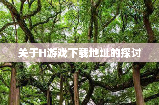 关于H游戏下载地址的探讨图片
