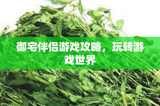 御宅伴侣游戏攻略图片
