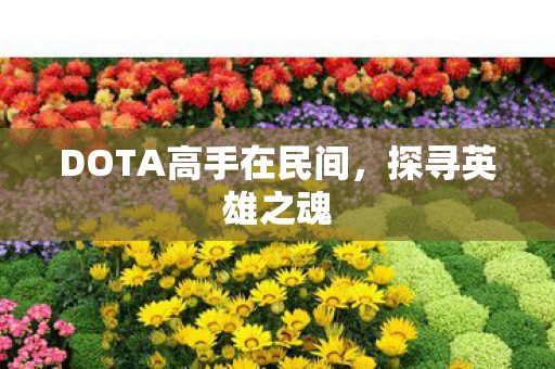 DOTA高手在民间图片