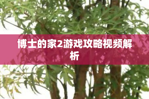 博士的家2游戏攻略视频解析图片