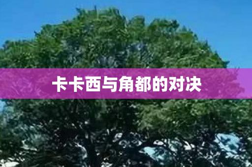 卡卡西与角都的对决图片