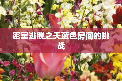 密室逃脱之天蓝色房间的挑战图片
