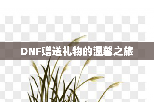 DNF赠送礼物的温馨之旅图片