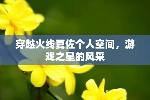 穿越火线夏佐个人空间图片