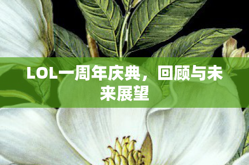 LOL一周年庆典图片