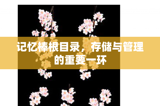 存储与管理的重要一环图片