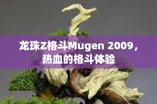龙珠Z格斗Mugen 2009图片