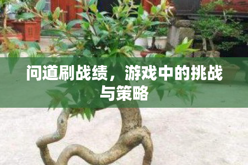 游戏中的挑战与策略图片
