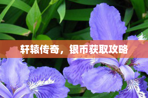 银币获取攻略图片