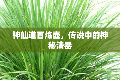 传说中的神秘法器图片
