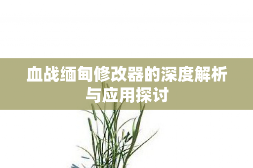 血战缅甸修改器的深度解析与应用探讨图片