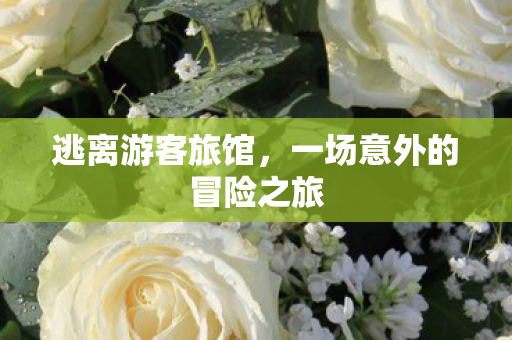 一场意外的冒险之旅图片