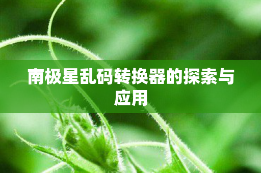 南极星乱码转换器的探索与应用图片