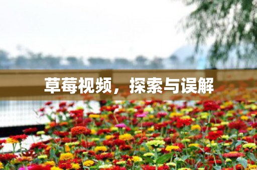 探索与误解图片