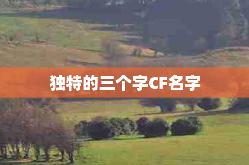 独特的三个字CF名字图片