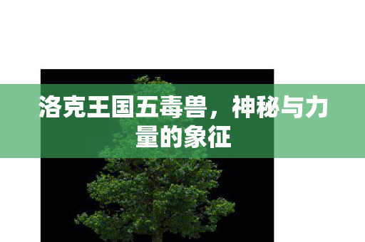 神秘与力量的象征图片