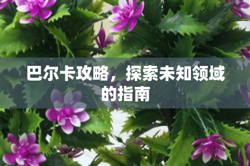 探索未知领域的指南图片