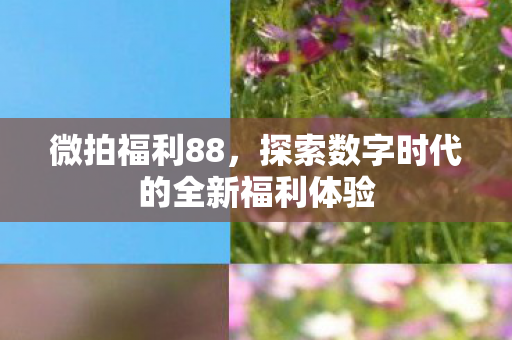 探索数字时代的全新福利体验图片