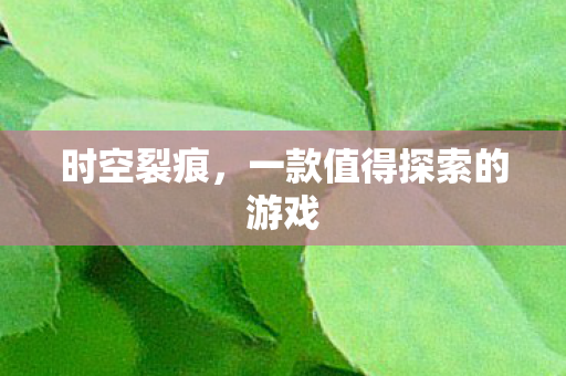 一款值得探索的游戏图片