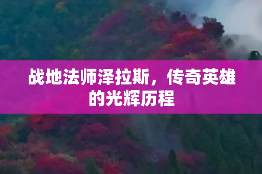 传奇英雄的光辉历程图片