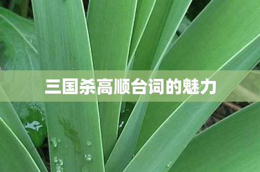 三国杀高顺台词的魅力图片