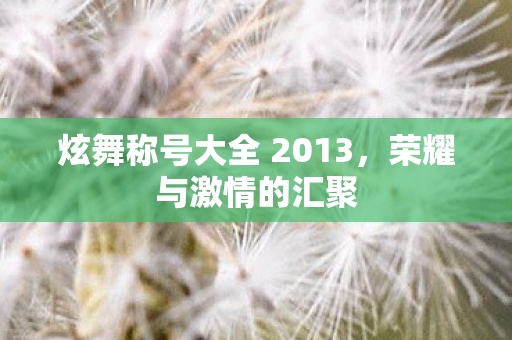 炫舞称号大全 2013图片