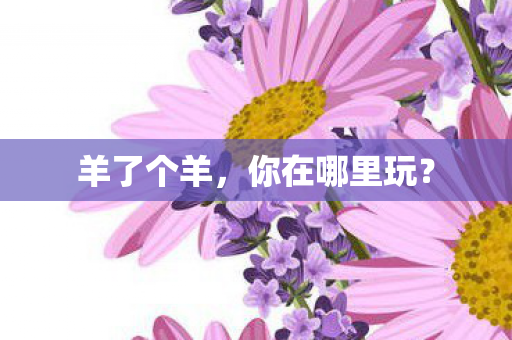 你在哪里玩图片