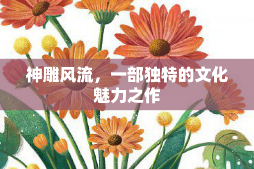 一部独特的文化魅力之作图片