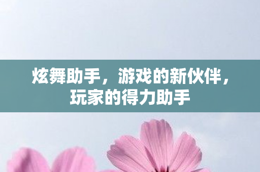 玩家的得力助手图片