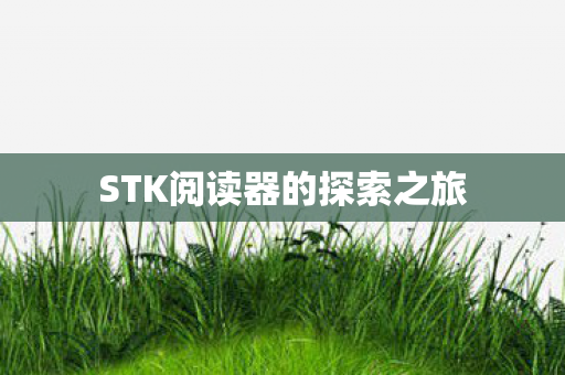 STK阅读器的探索之旅图片