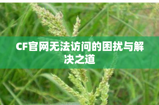 CF官网无法访问的困扰与解决之道图片