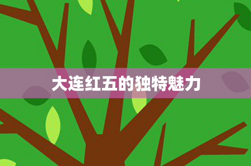大连红五的独特魅力图片