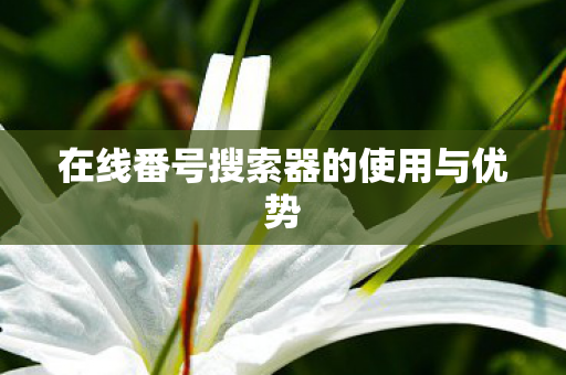 在线番号搜索器的使用与优势图片