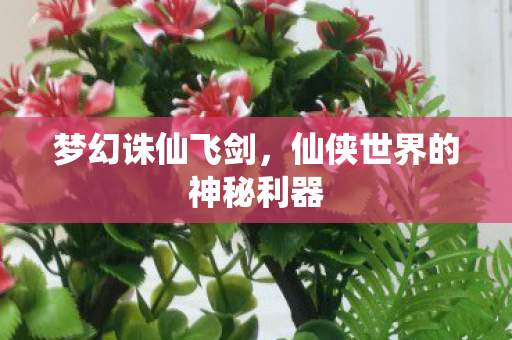 仙侠世界的神秘利器图片