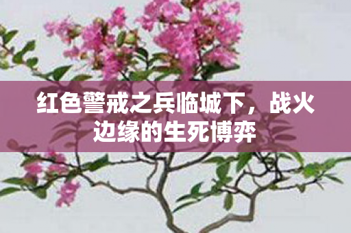 红色警戒之兵临城下图片