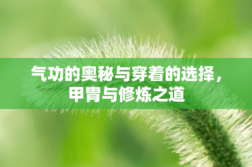 气功的奥秘与穿着的选择图片