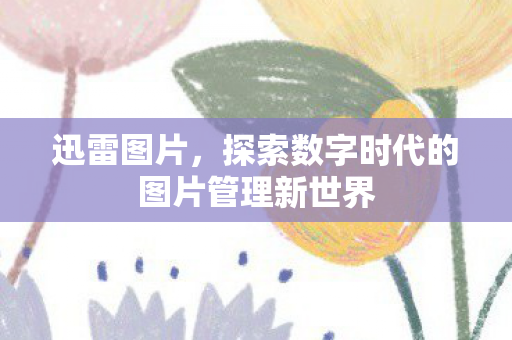 探索数字时代的图片管理新世界图片