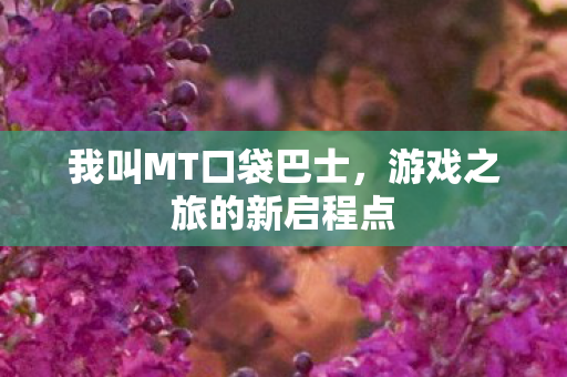 游戏之旅的新启程点图片