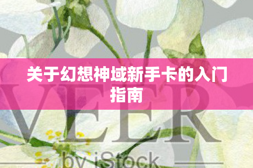 关于幻想神域新手卡的入门指南图片